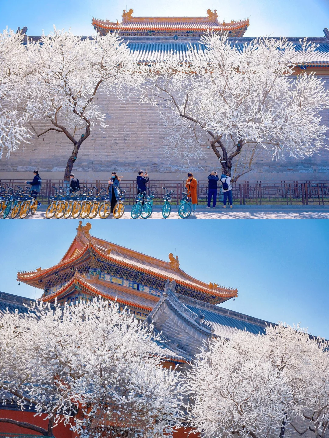 总要去趟北京吧✨ 赴一场和首都的约会