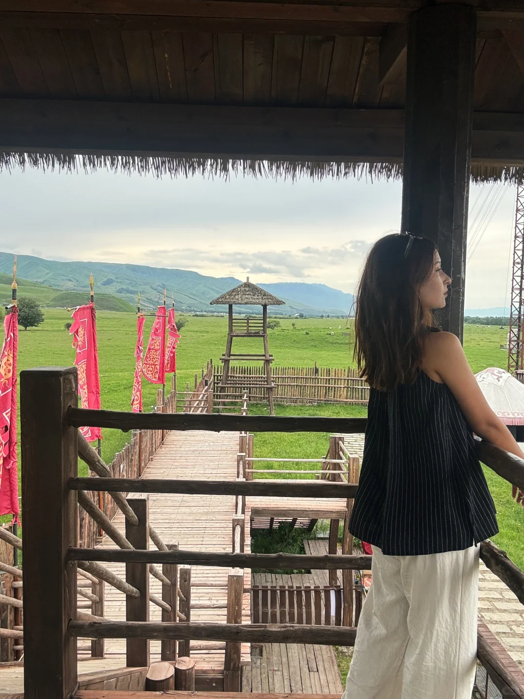 独享一片绿☔️