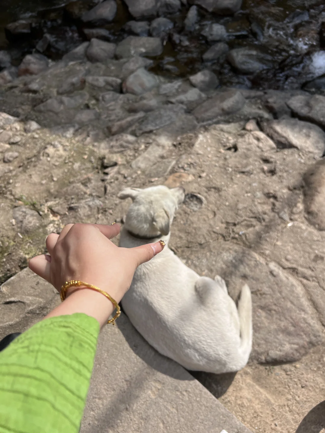 三月松阳,人间仙境