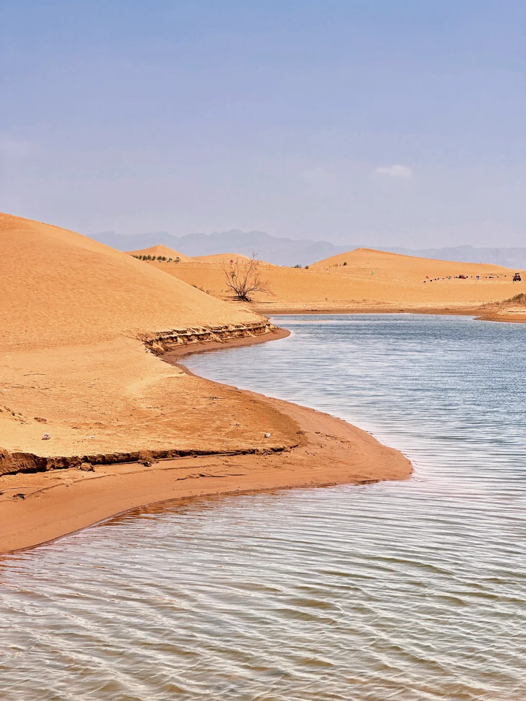 武汉出发✈️乌海3天2晚🏜️| 沙漠看“海”