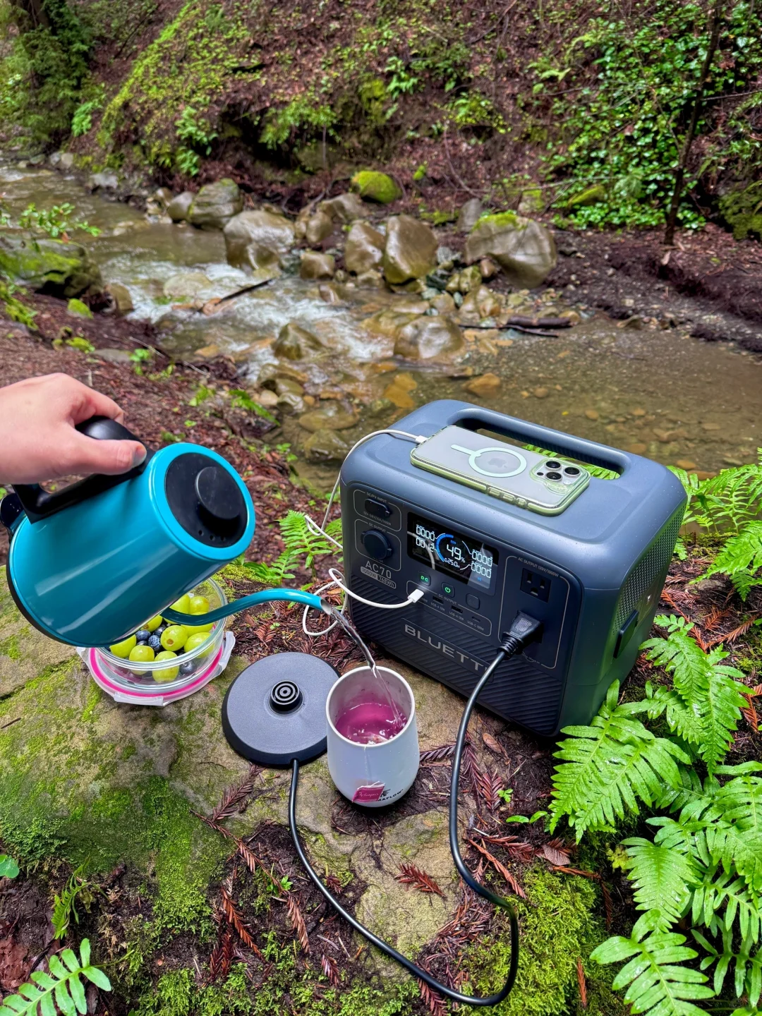 加州春日的Mendocino简直是人间理想！🌊🌸