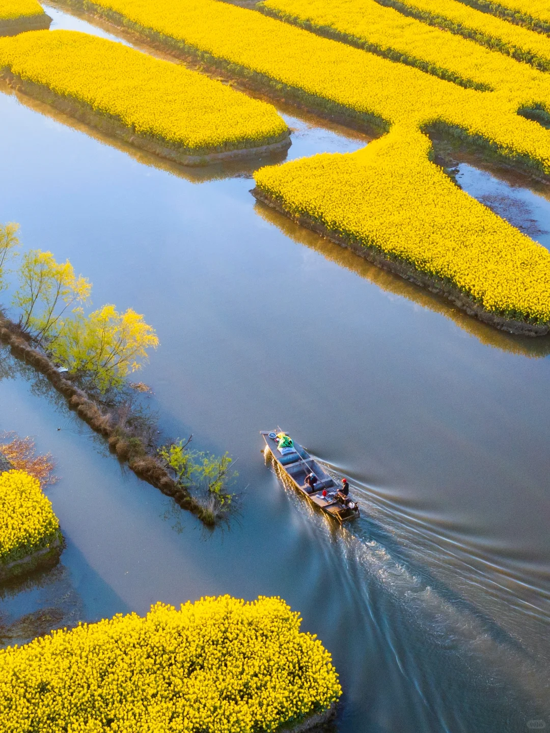 以为扬州真的已经够美了，直到我去了趟兴化