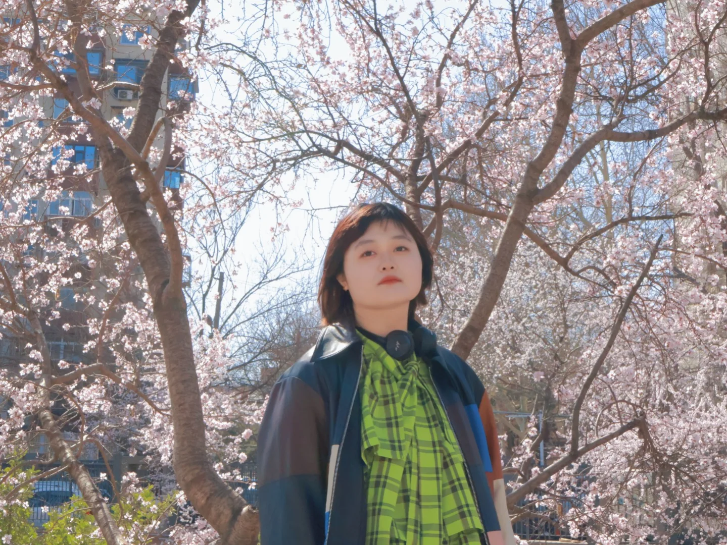 就是说北京的花已经next level了