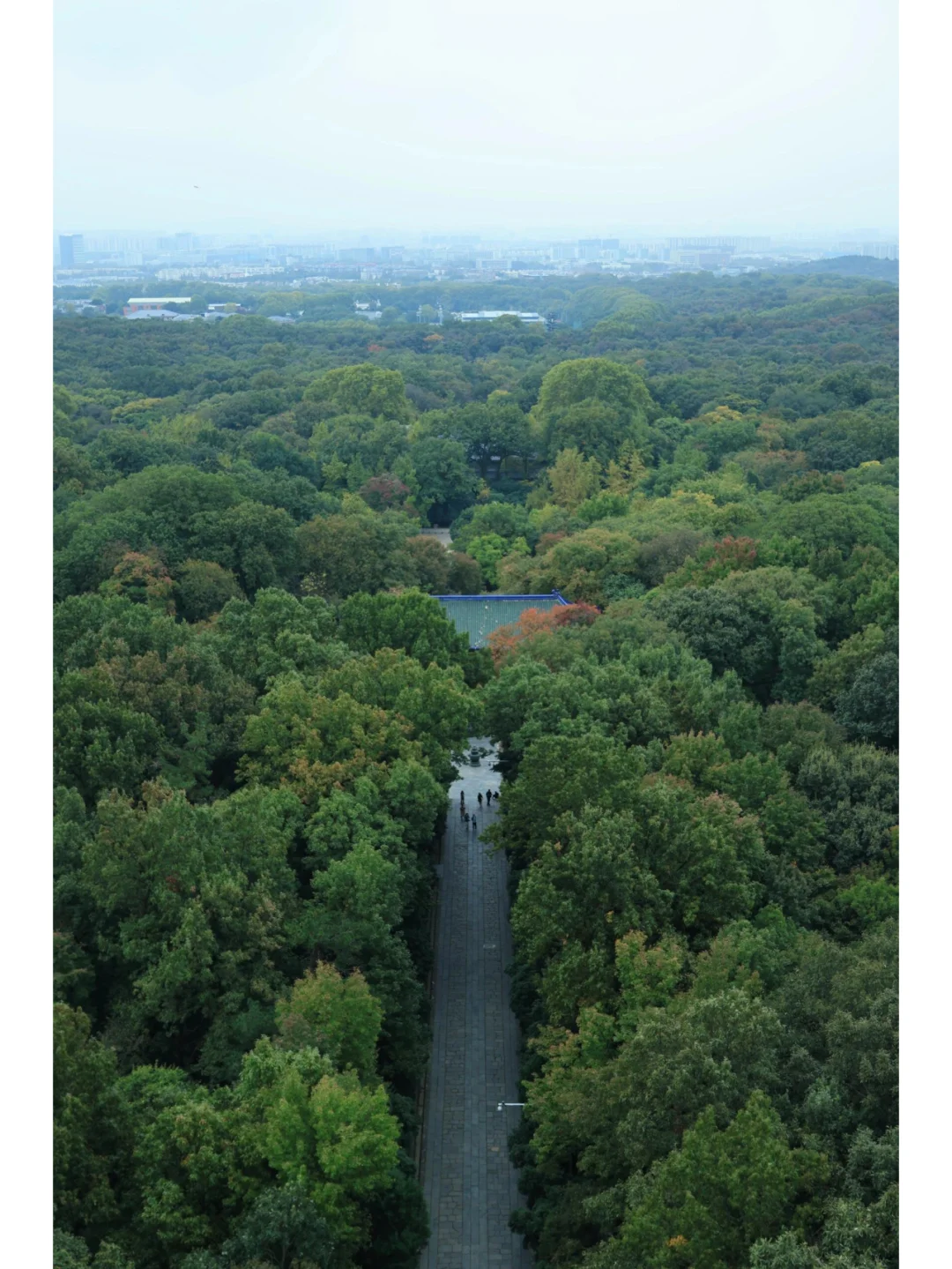 南京旅游攻略 | 一趟玩不够的金陵之旅🎈