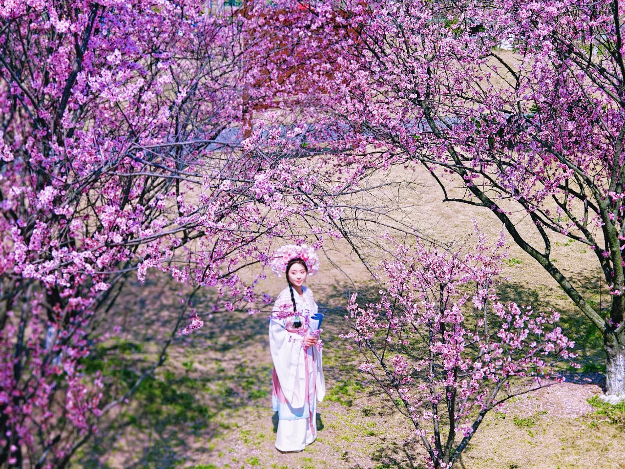 美景VS美人，你更中意谁？