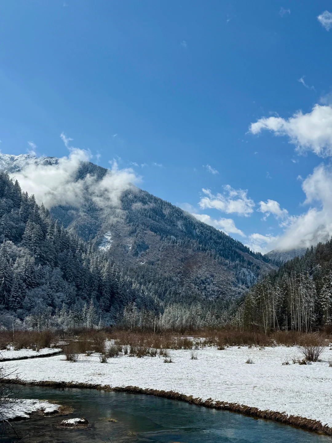 3.14📍九寨沟已回，live实况直出，劝退不了