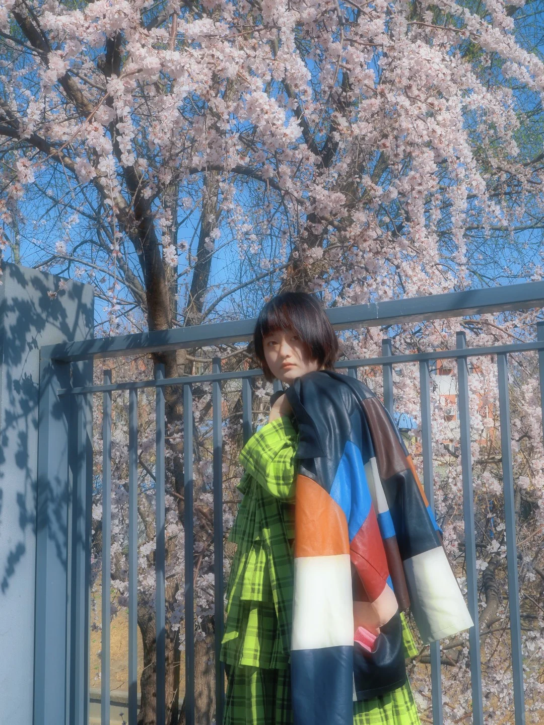 就是说北京的花已经next level了