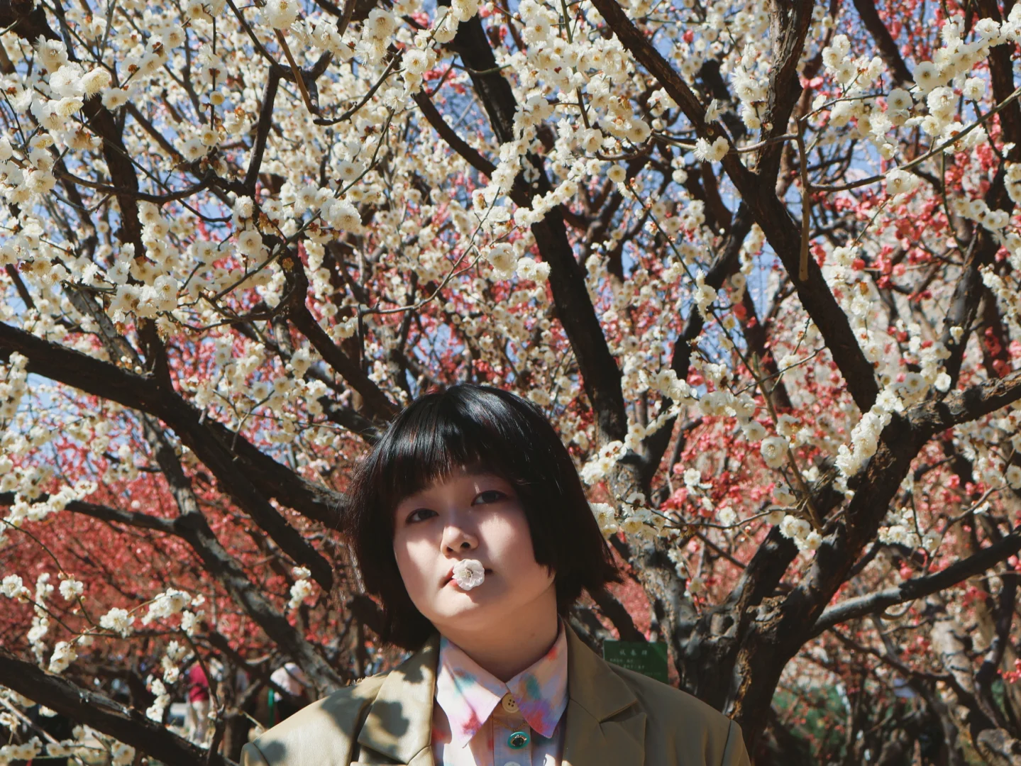 就是说北京的花已经next level了