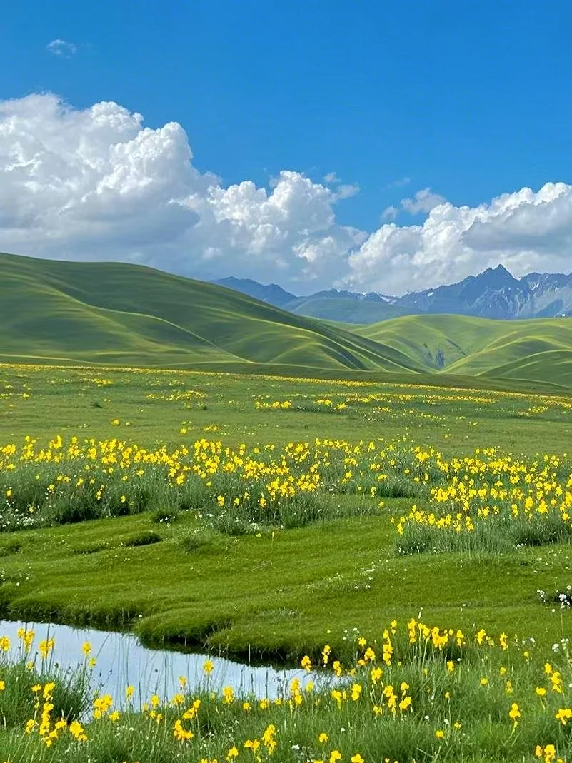 川西不止有四姑娘山。。。