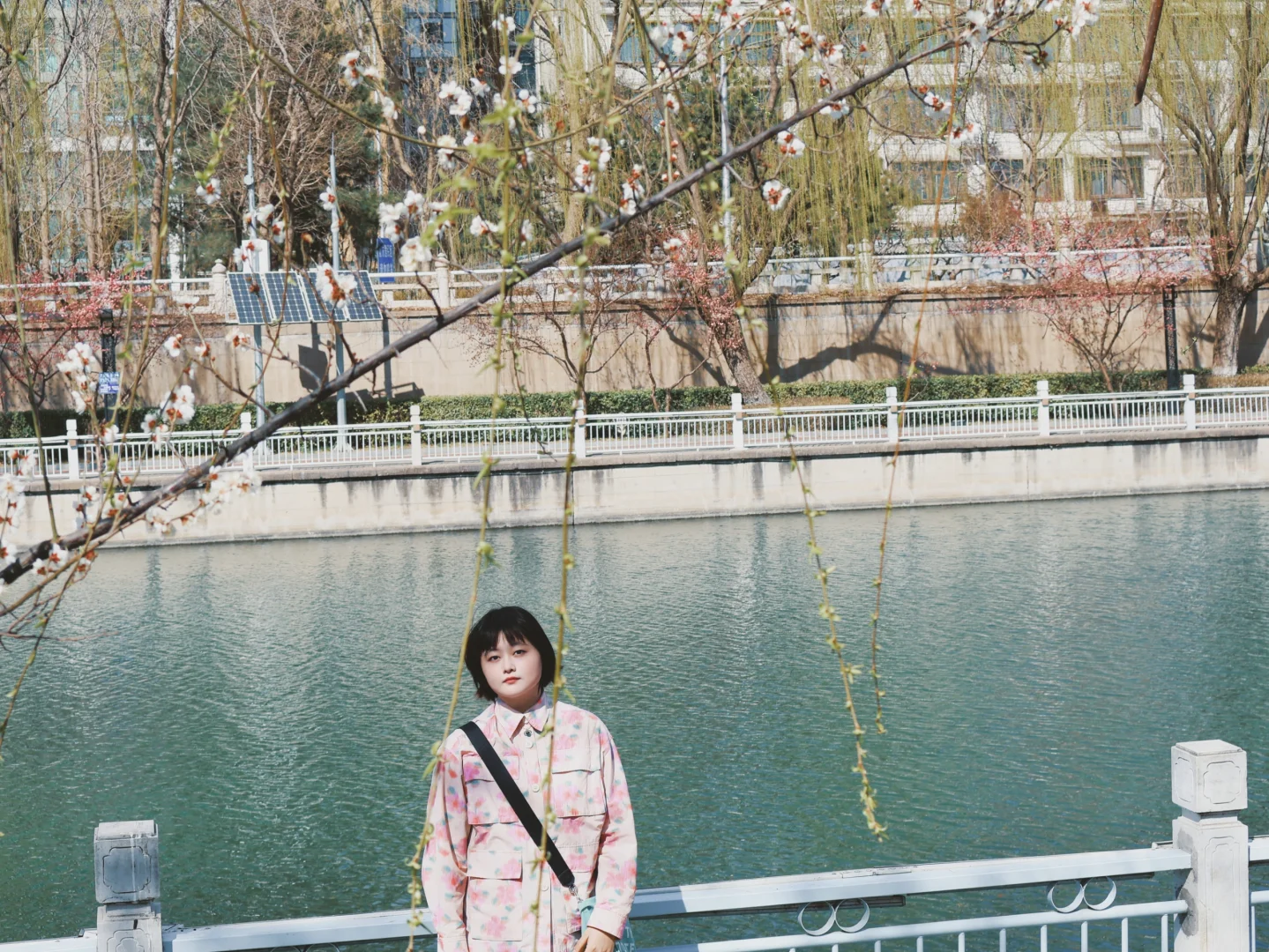 就是说北京的花已经next level了