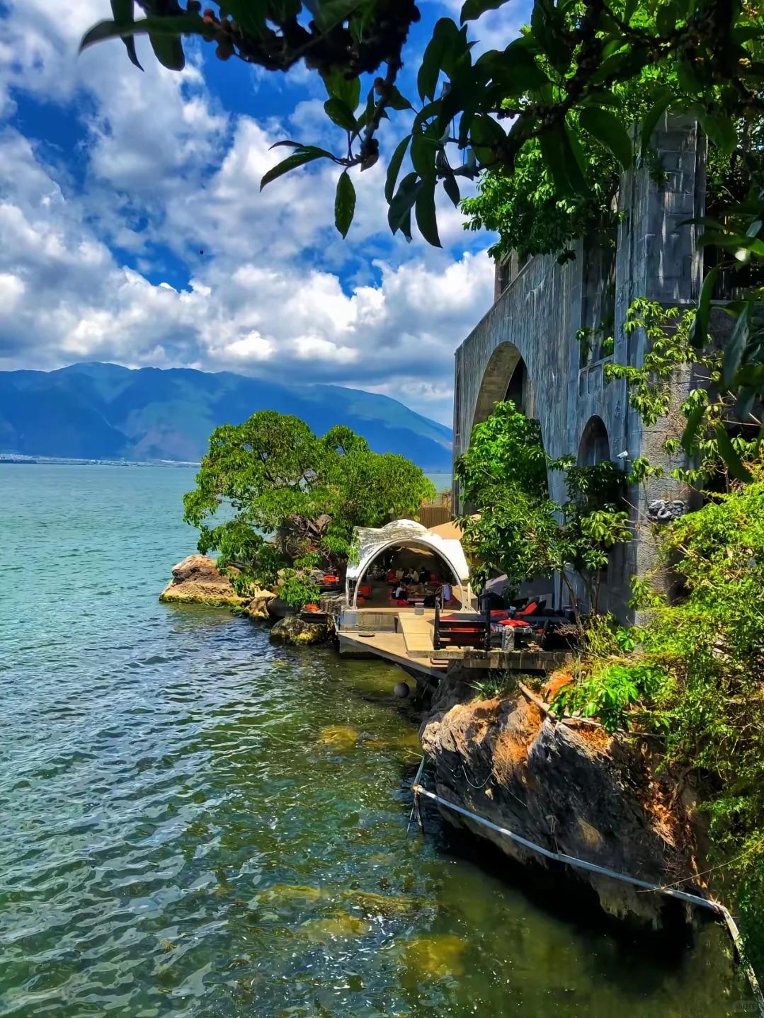 🌸 3月旅行必去！大理春日限定！