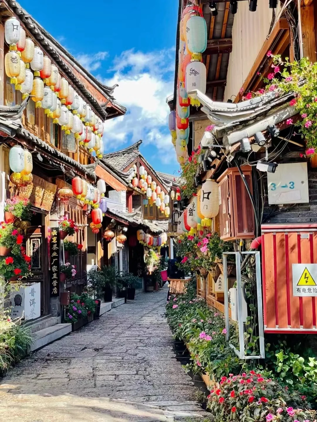 🌸 3月旅行必去！大理春日限定！