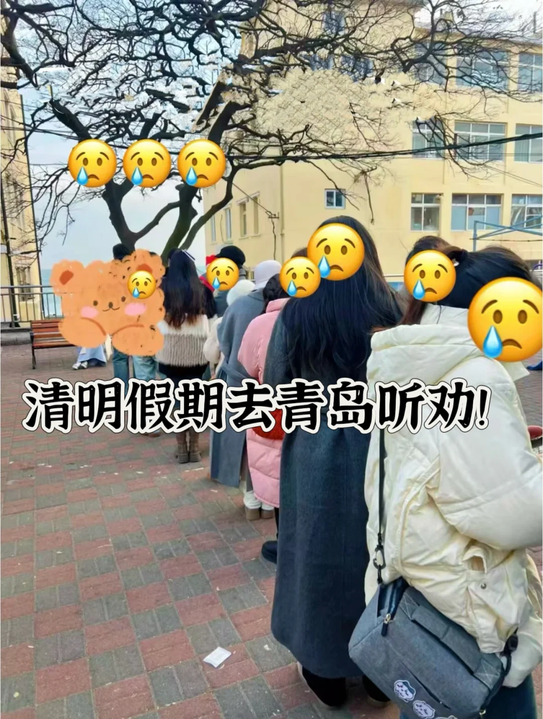 青岛替大家避雷了❗️清明节现状！