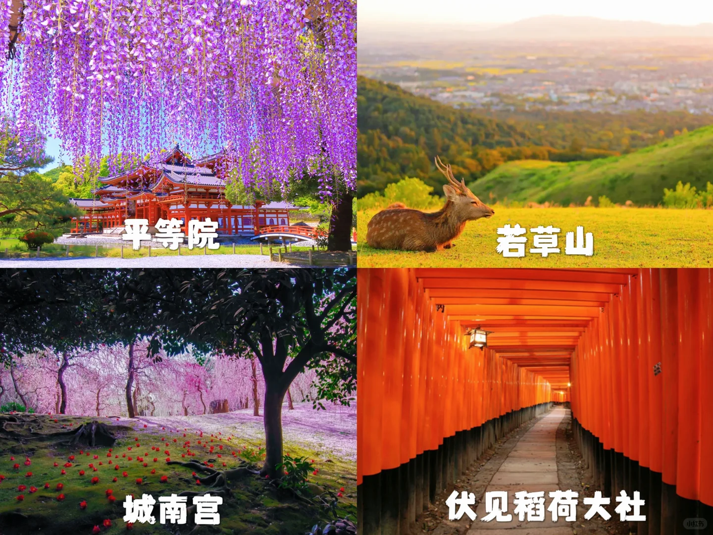 相识京都十年，我总结出了这张线路景点地图