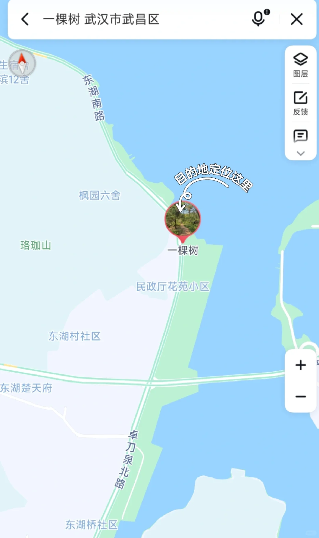 武汉亲子博主| 东湖樱园进园交通避坑指南