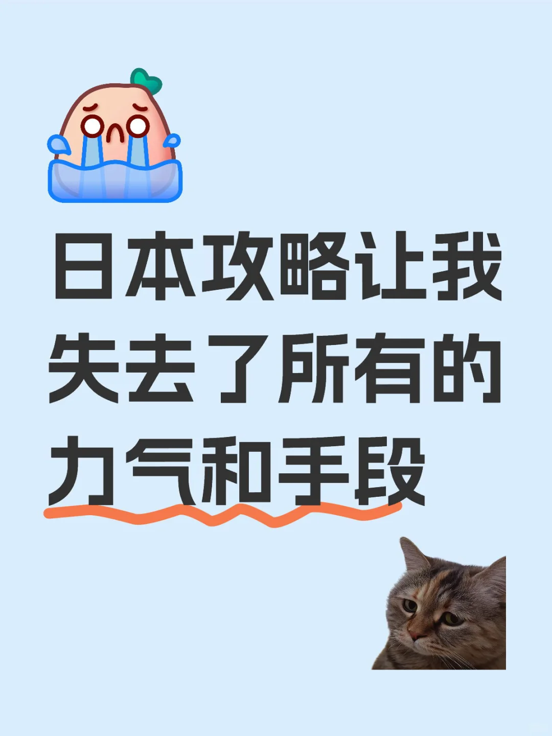 日本让我失去了所有的力气和手段