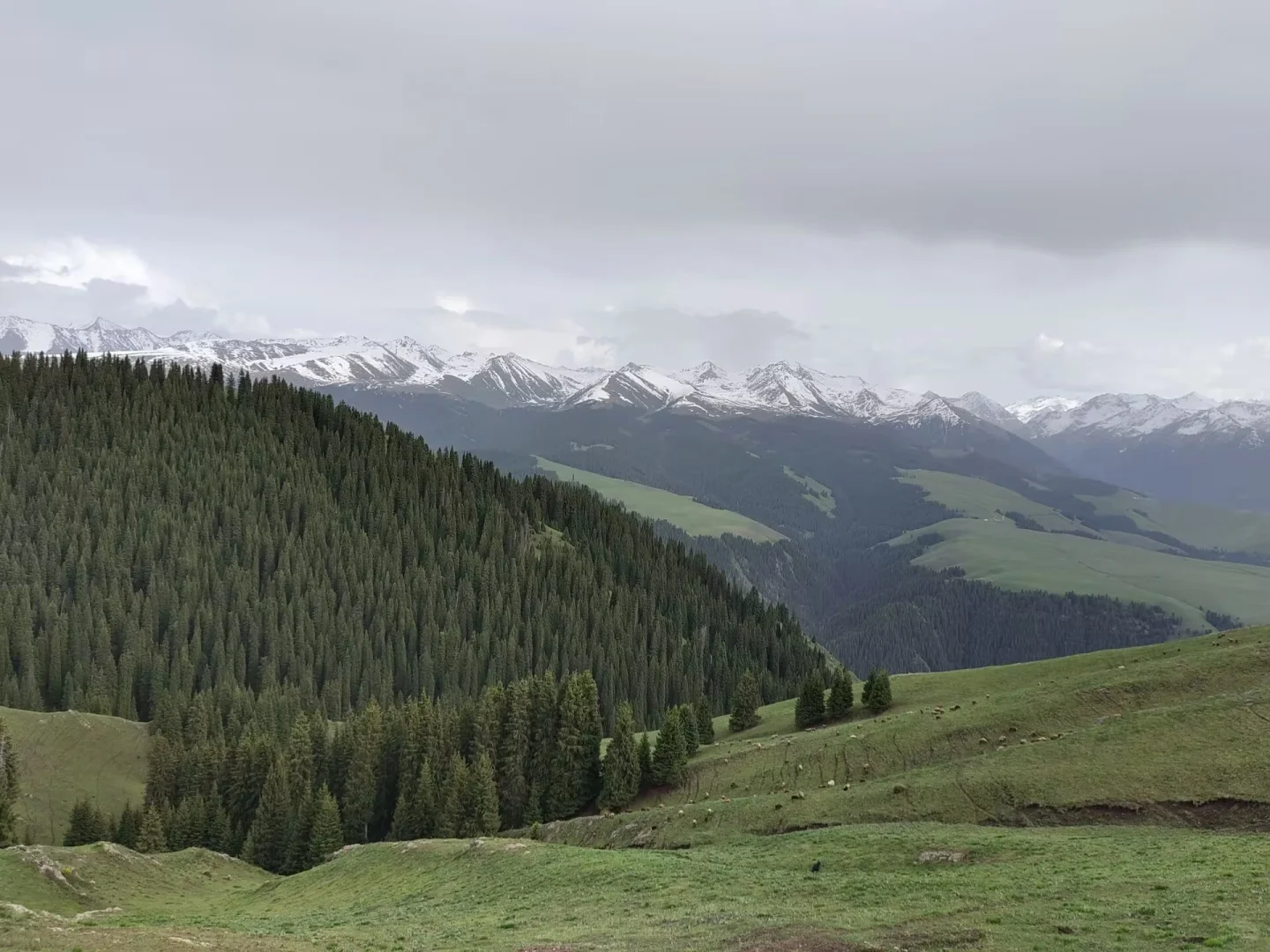 新疆喀拉峻景区游玩线路攻略