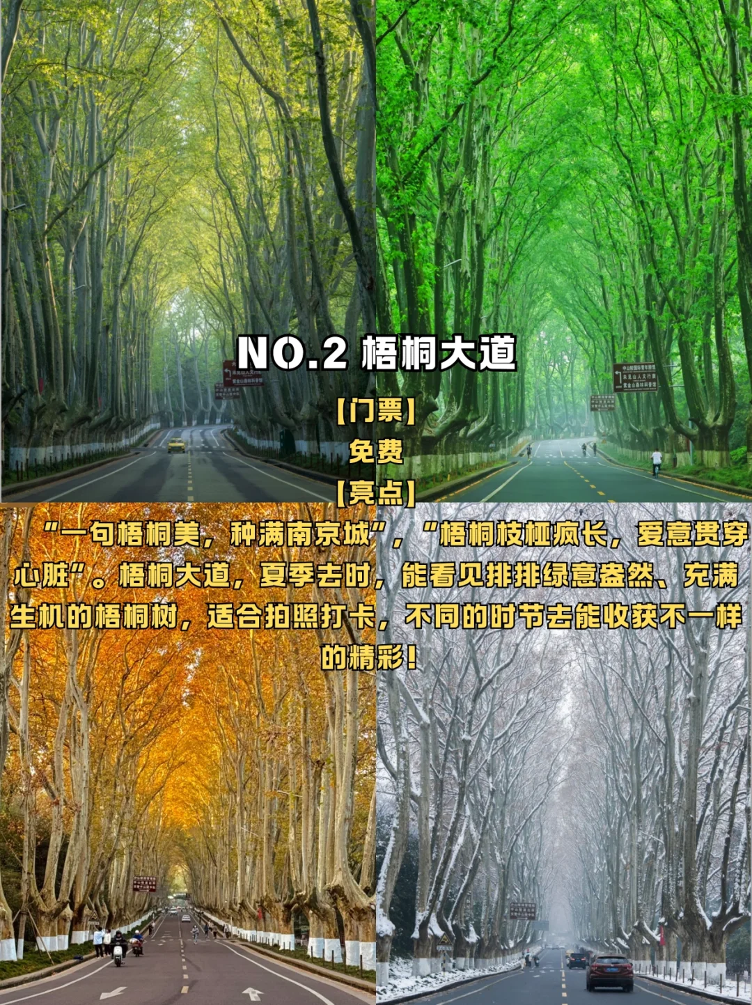 📍南京|金陵古都,六朝旧梦