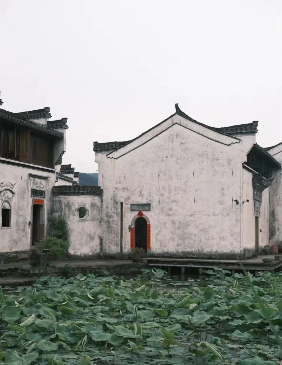 上海出发4.4-4.6 黄山马尔代夫 太平湖 呈坎