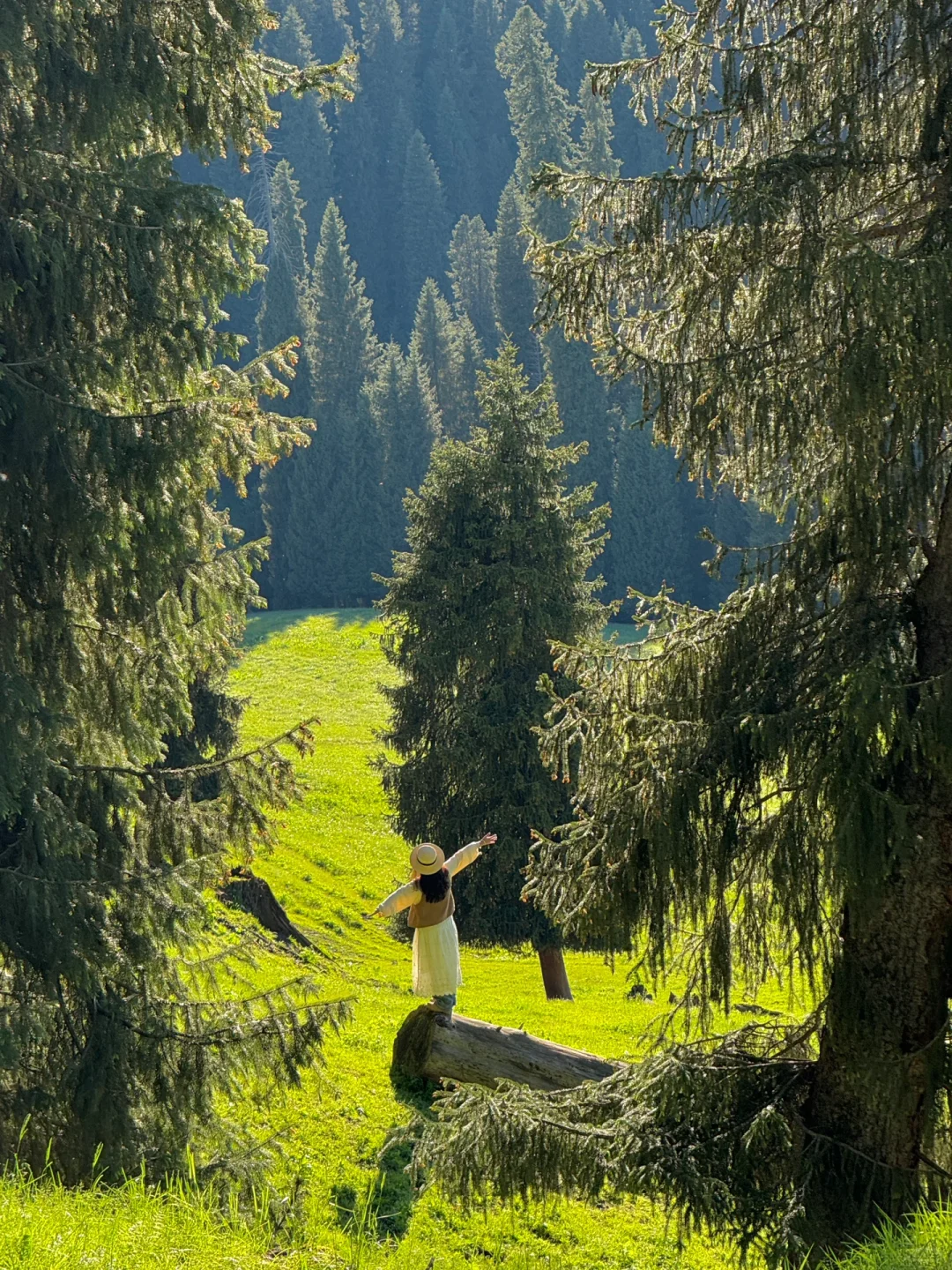 答应我‼️这辈子一定不要放弃去新疆🐮🐑……