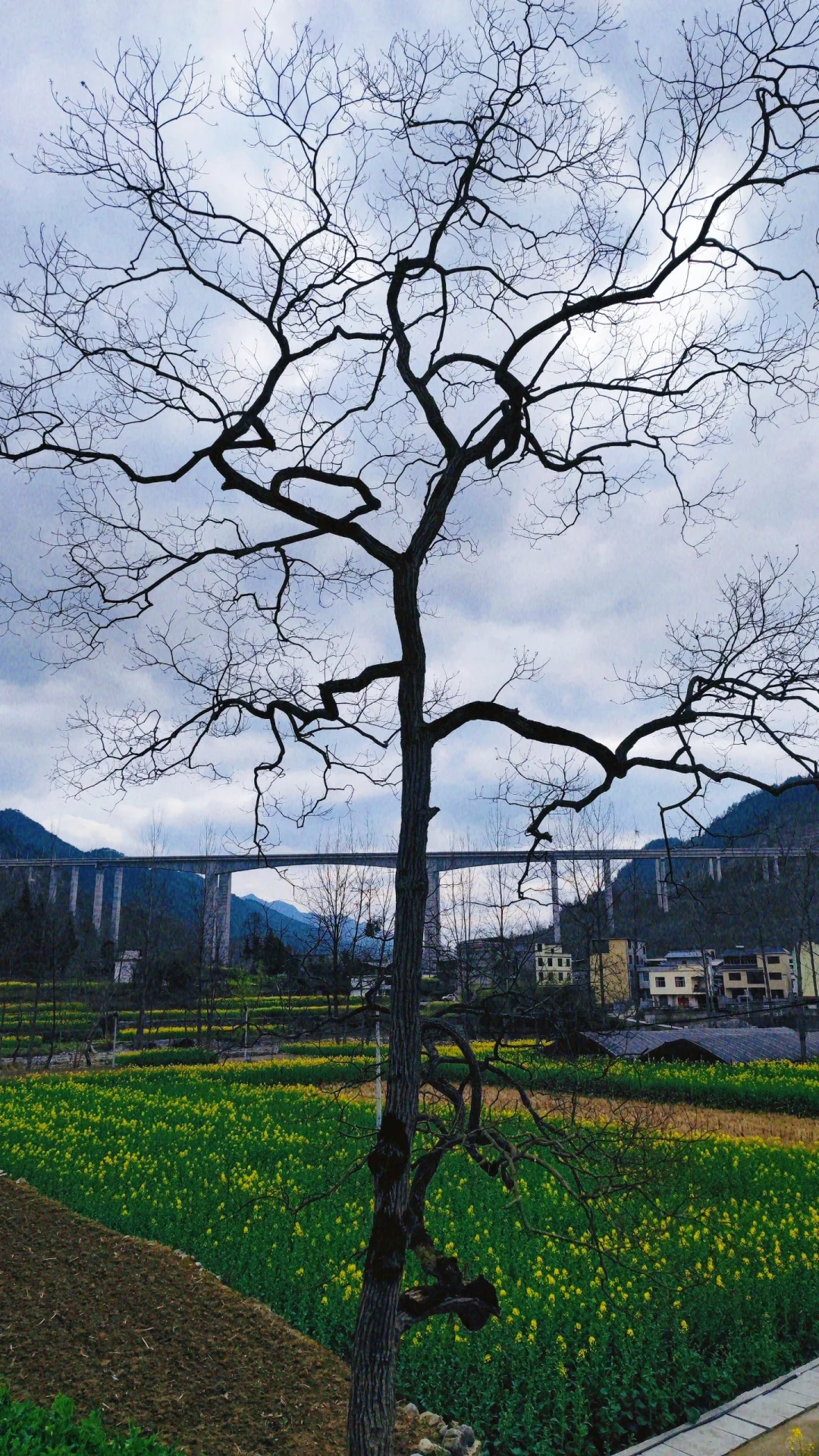 不在景区也能看到的风景