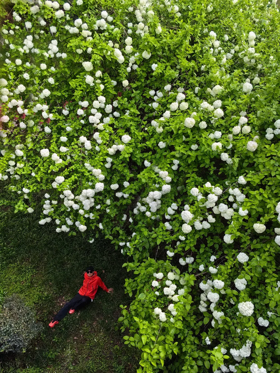 长沙十日晴！接下来是万万次的春和景明～