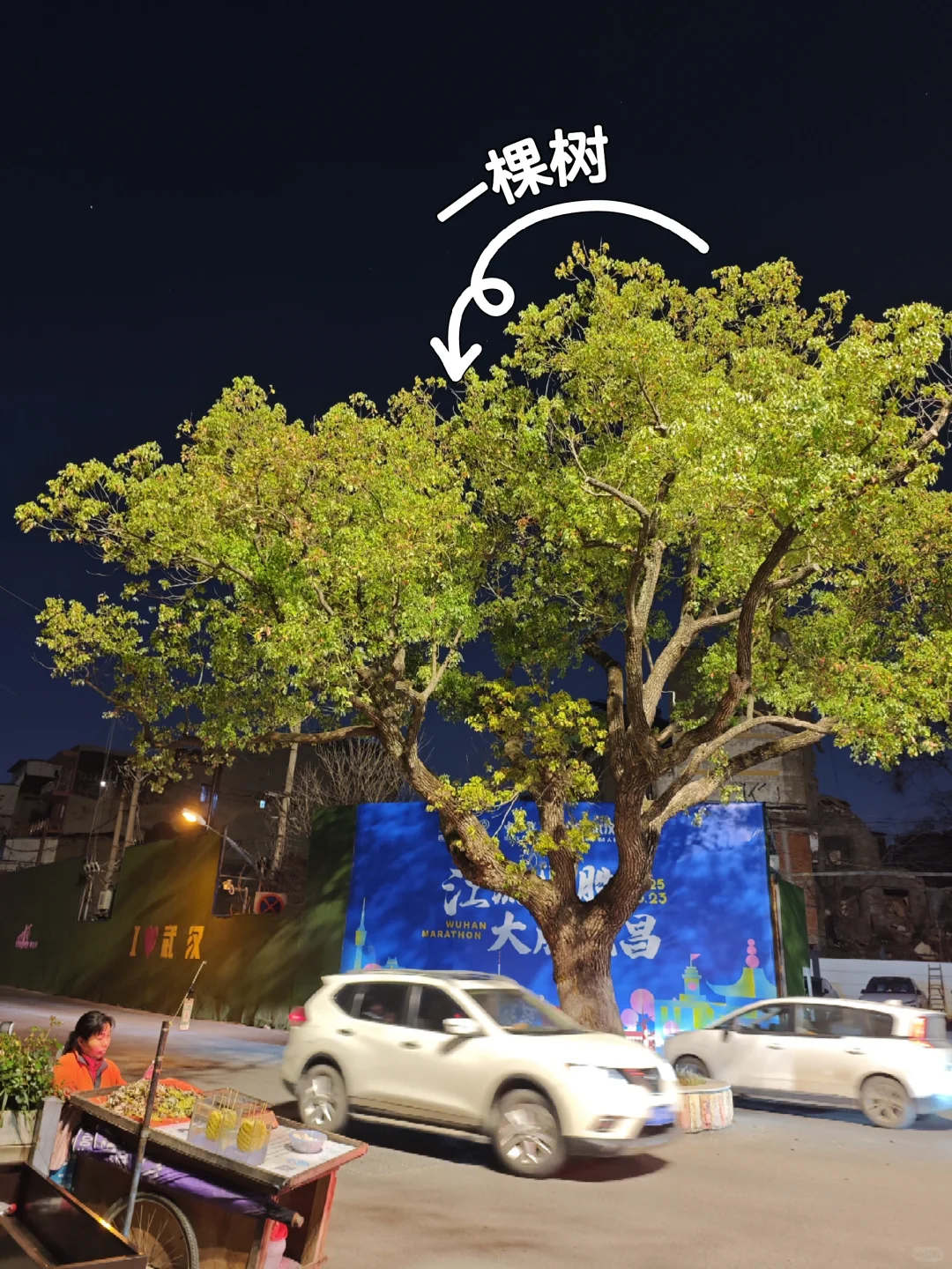 武汉亲子博主| 东湖樱园进园交通避坑指南