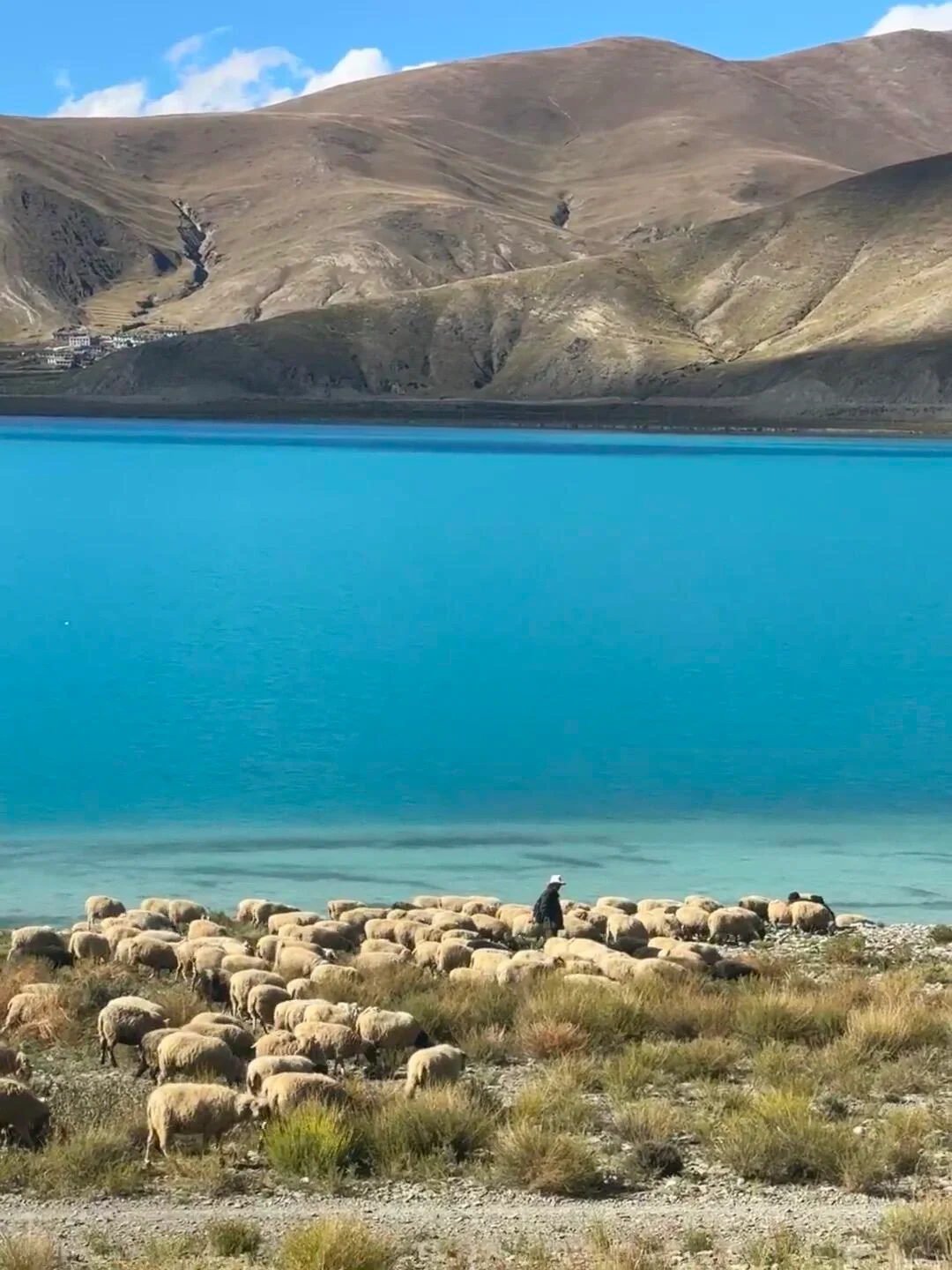 总要去趟西藏吧！赴一场心灵之约