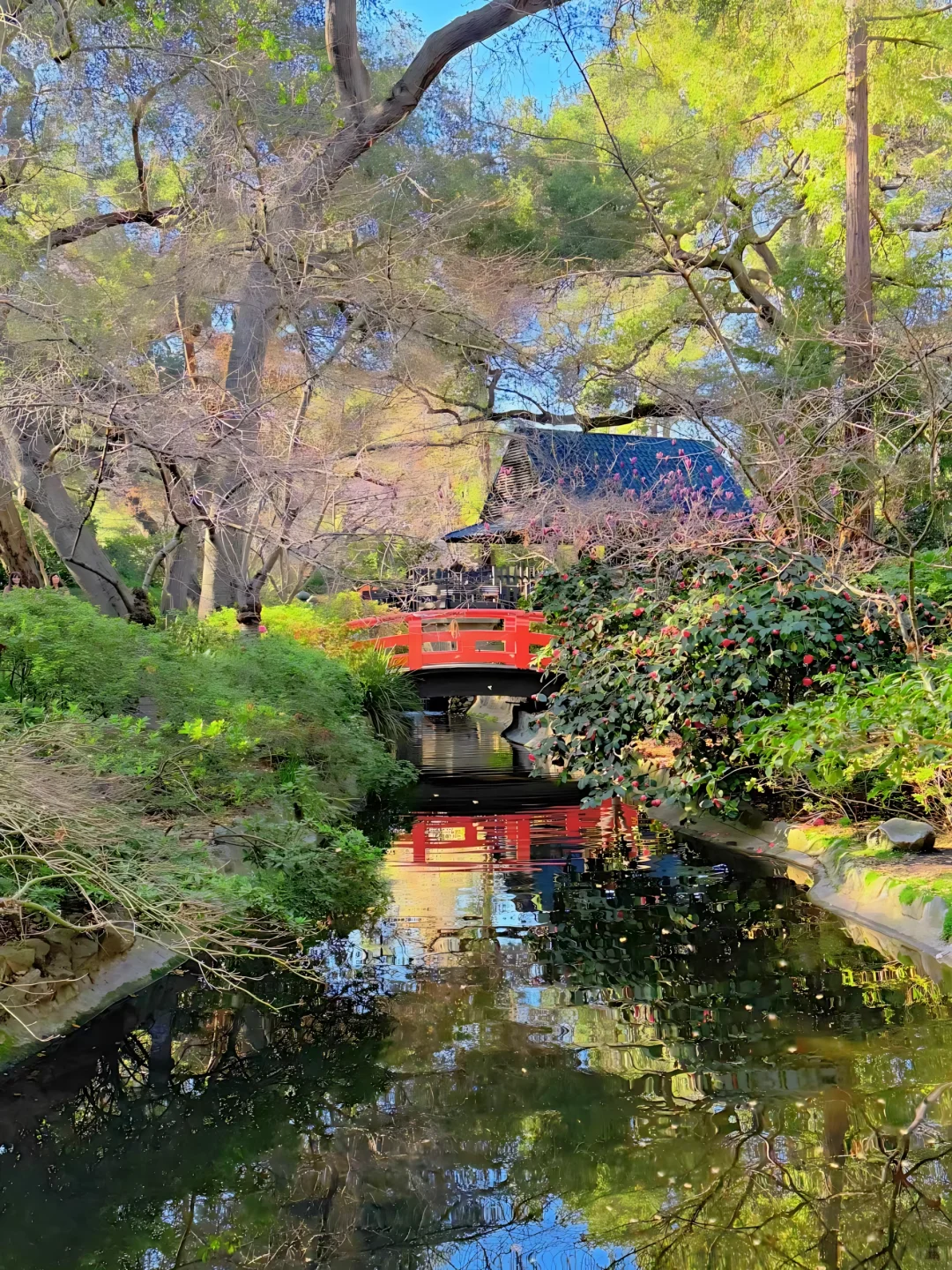 洛杉矶3月这七个免费景点!少去一个都损失