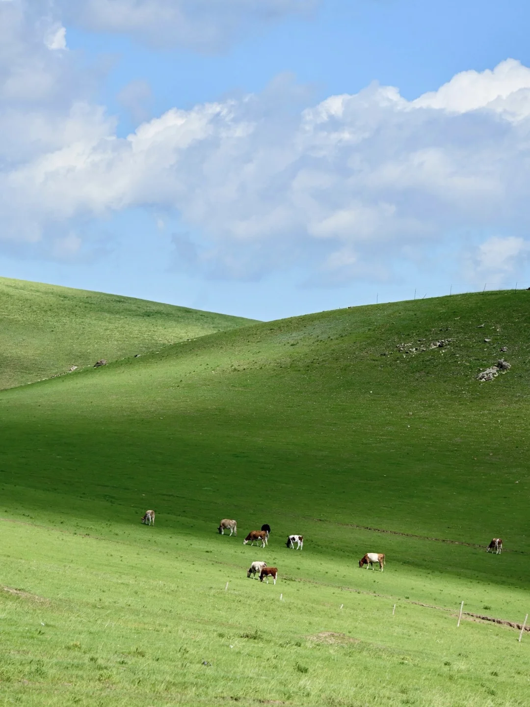 以为新疆伊犁已经够美了！直到我去了……