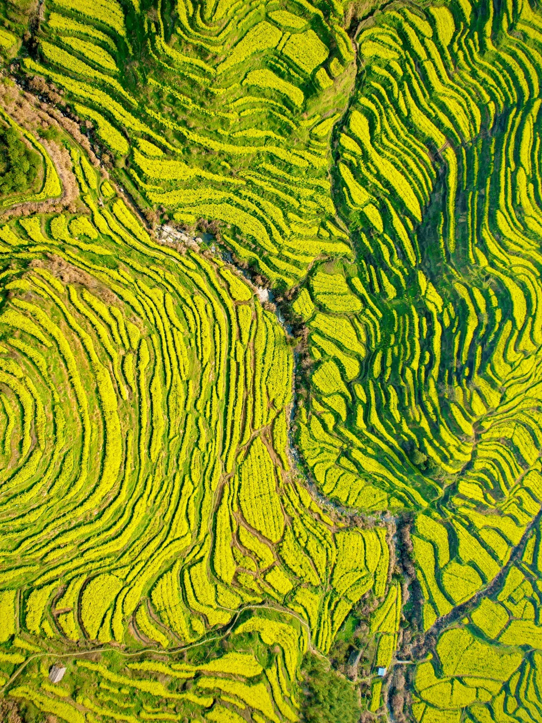 比起景德镇，我更爱国家地理推荐的春日小城…