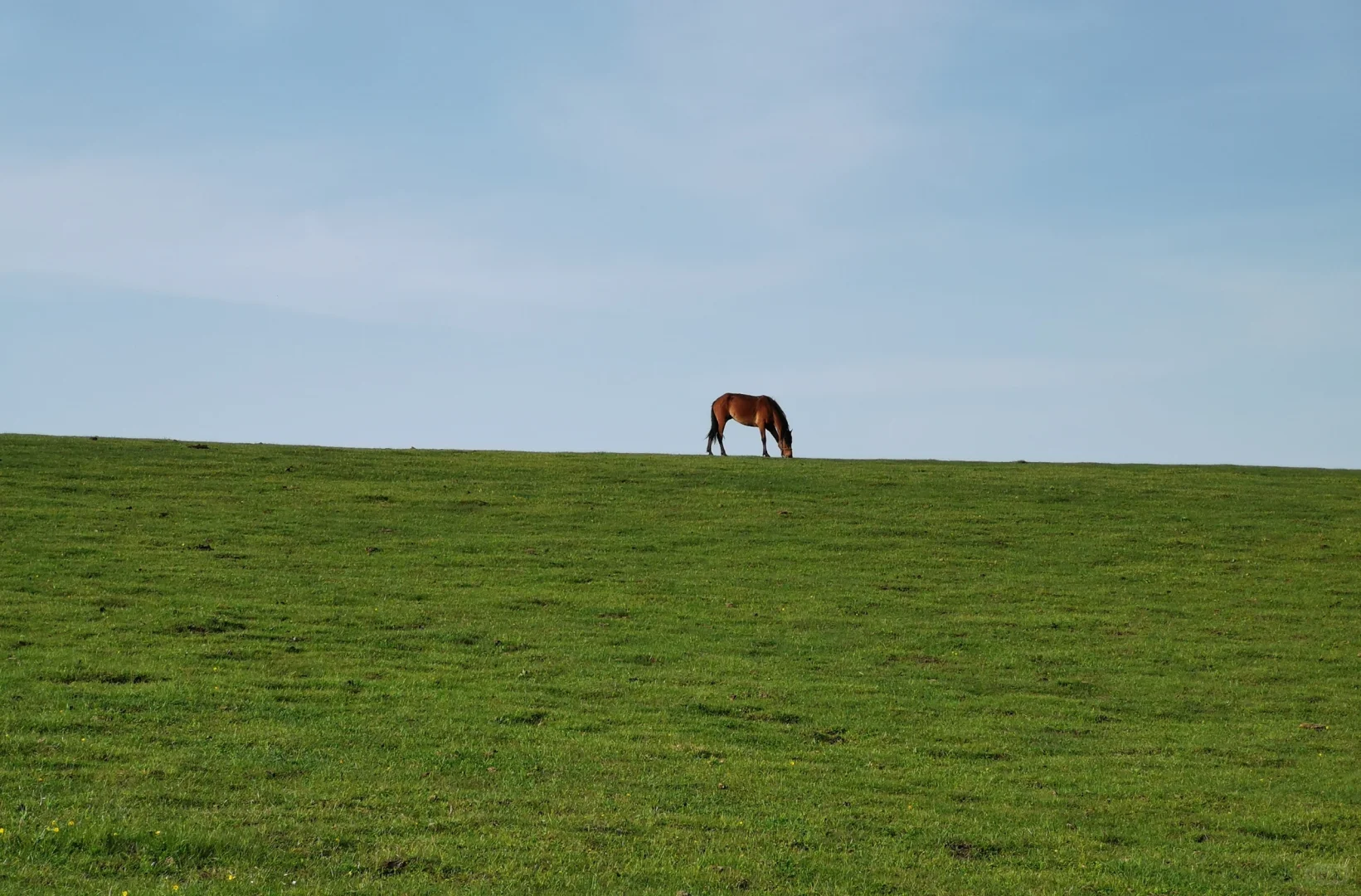 新疆喀拉峻景区游玩线路攻略