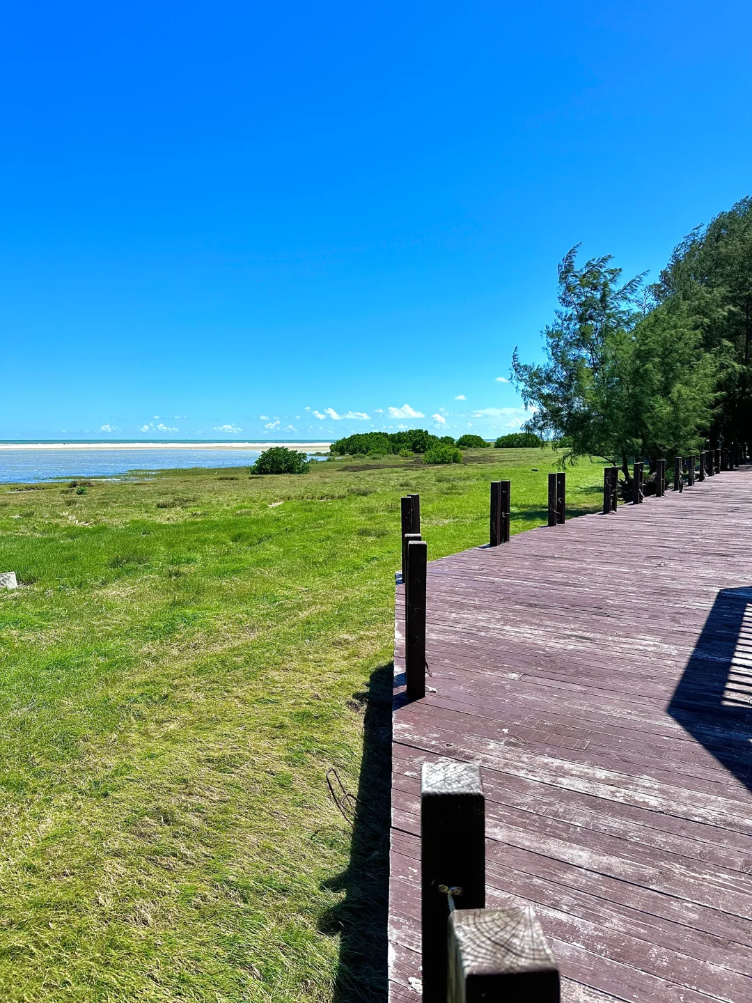 震惊😱这么全的北海景点大合集（live版）