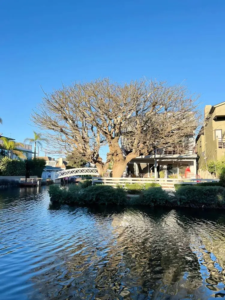 洛杉矶3月这七个免费景点!少去一个都损失