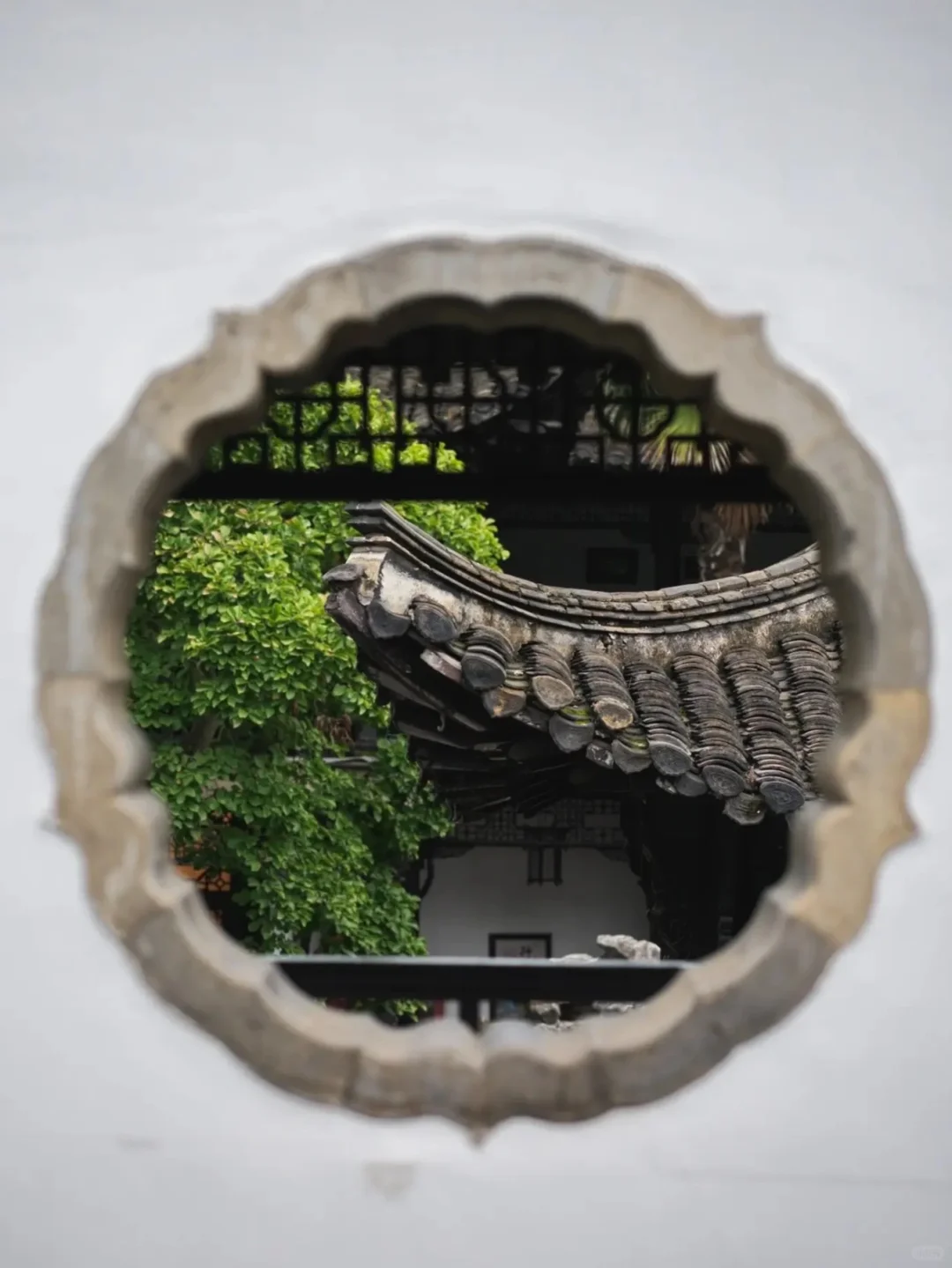 第一次带爸妈去扬州,去看烟雨江南