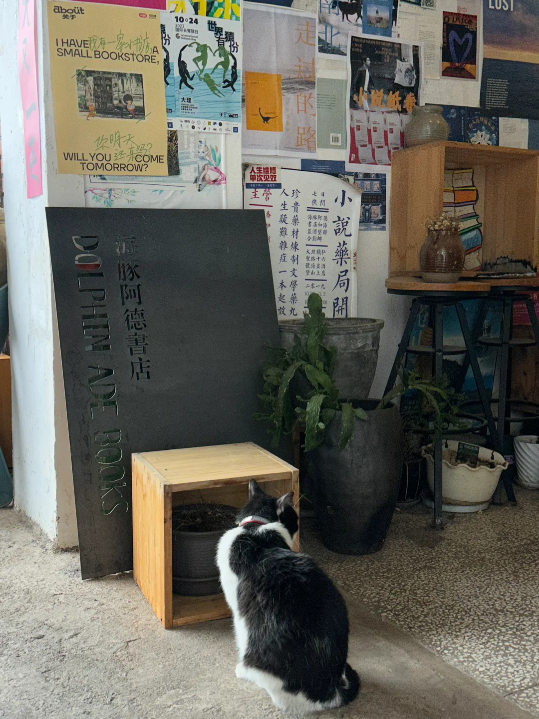 去了五次大理｜不打卡推荐的目的地