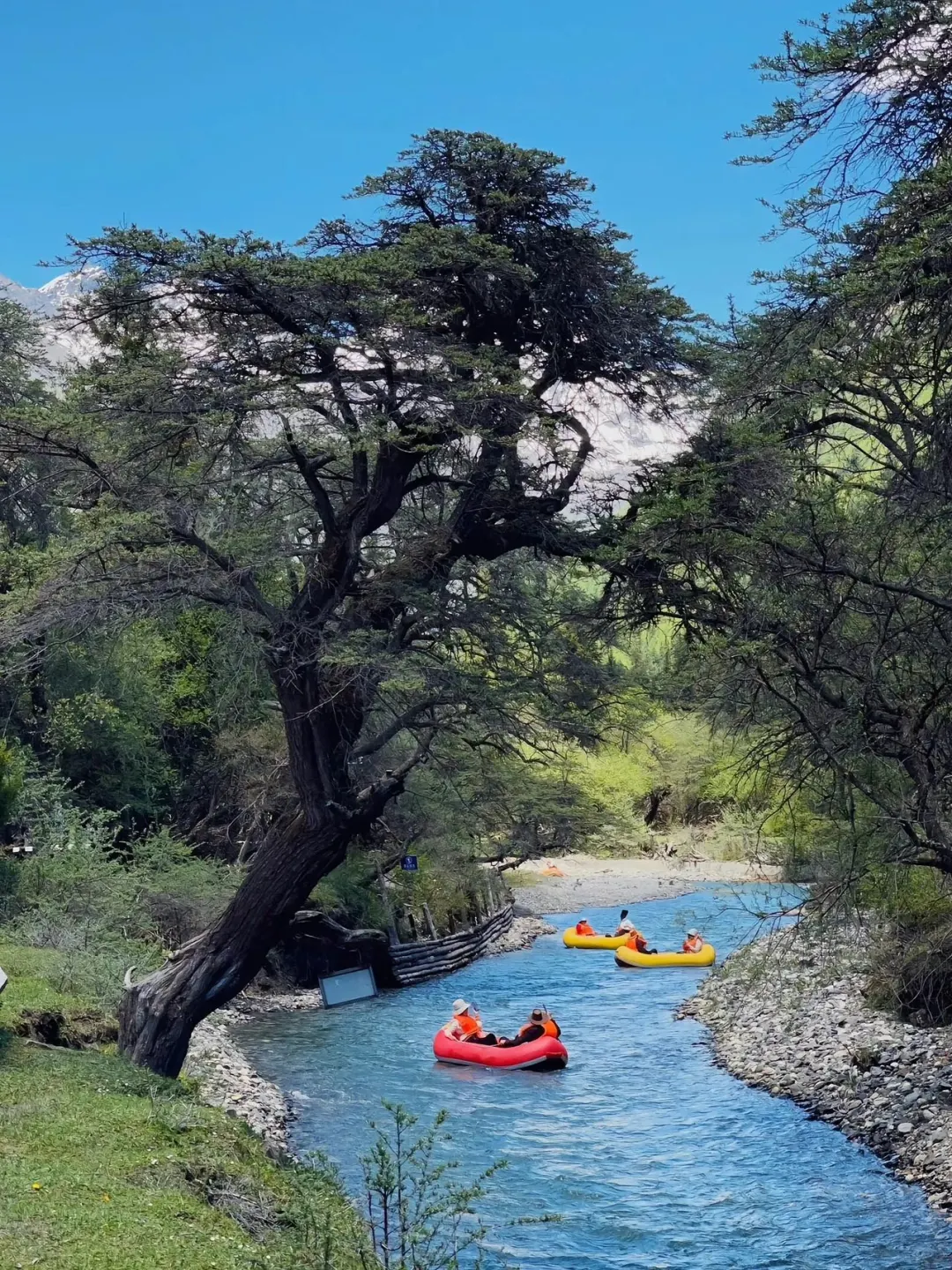 四姑娘山即将迎来封神的季节‼️