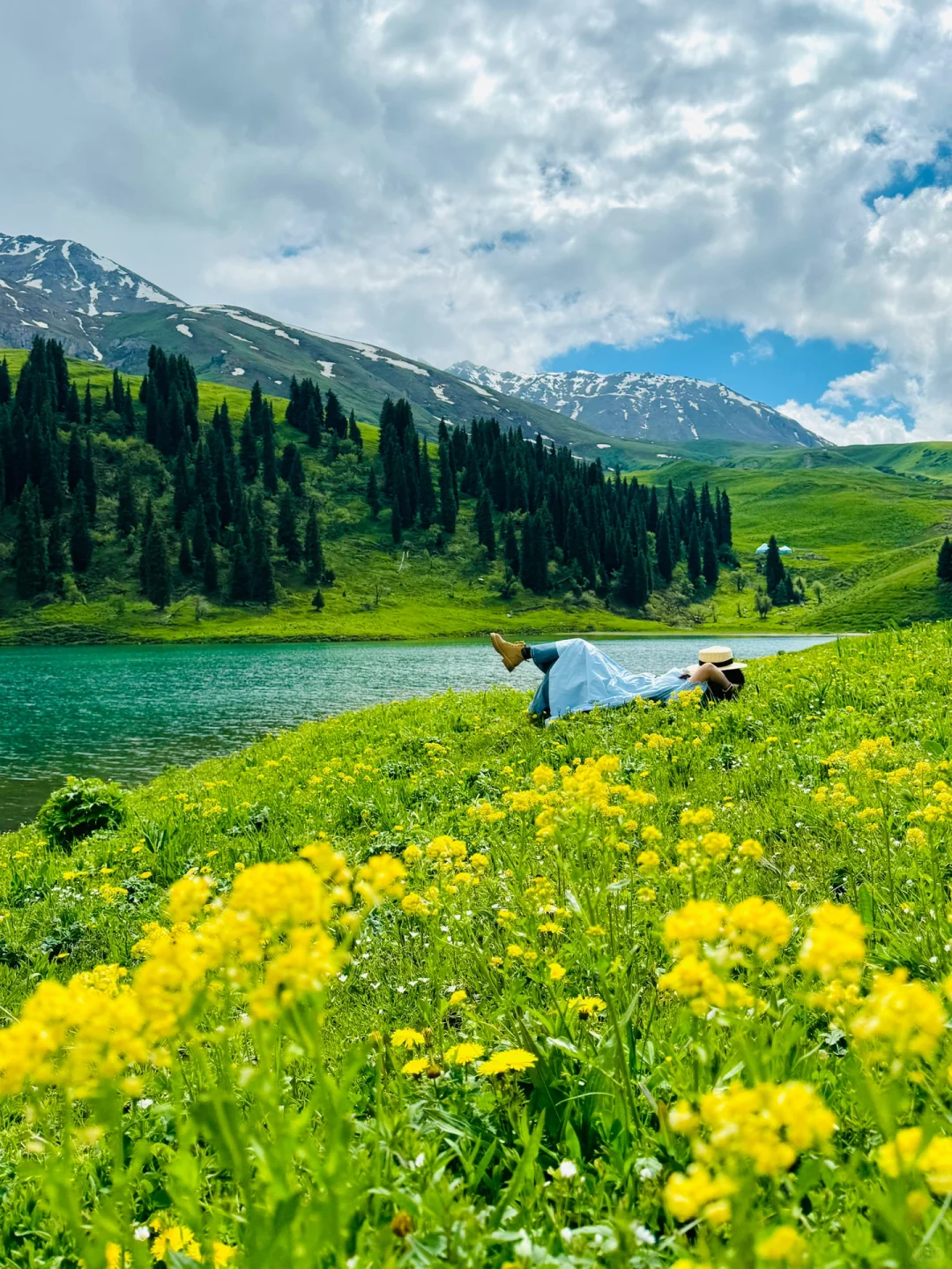 答应我‼️这辈子一定不要放弃去新疆🐮🐑……