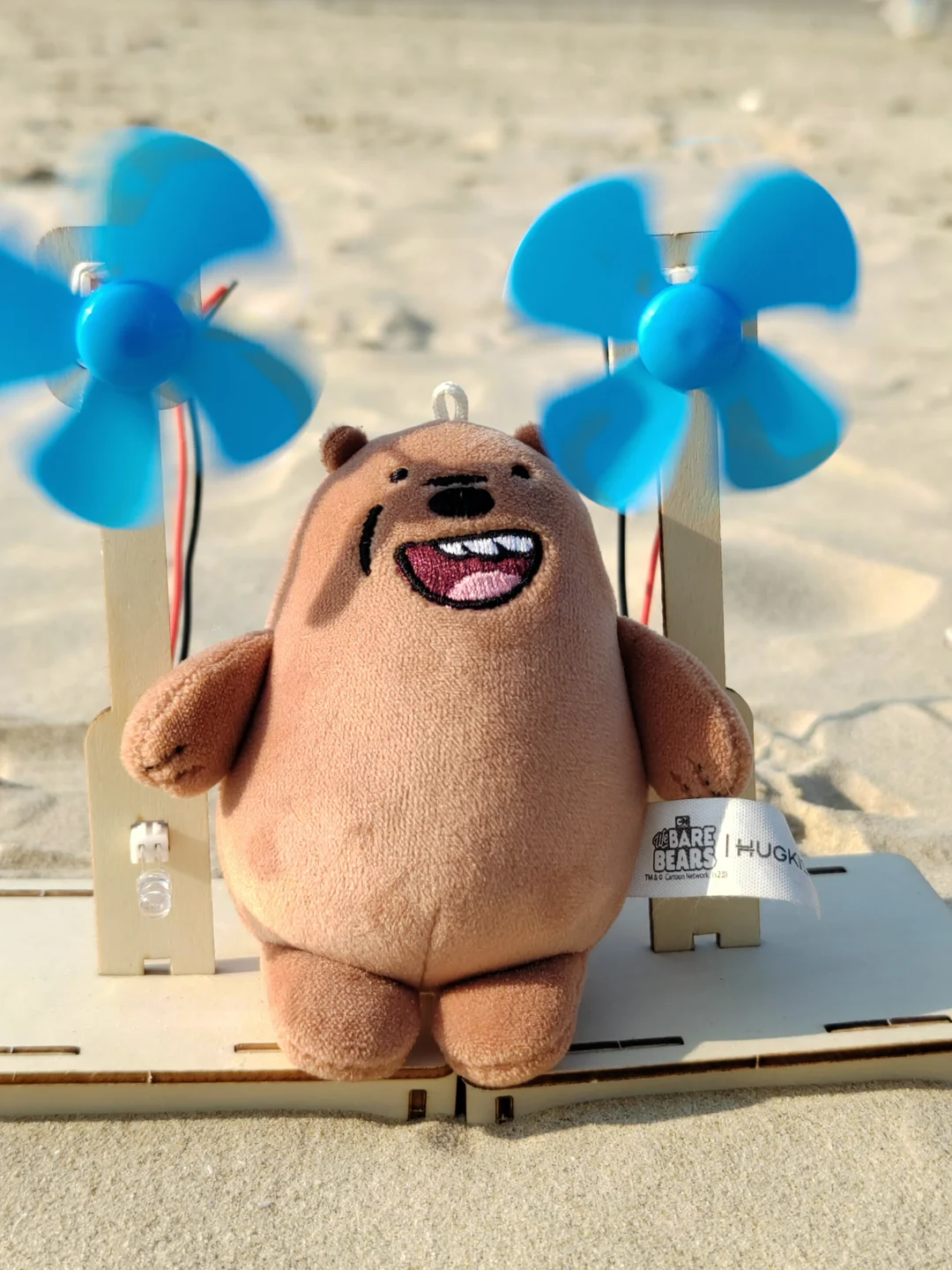 带着大大🐻去旅游