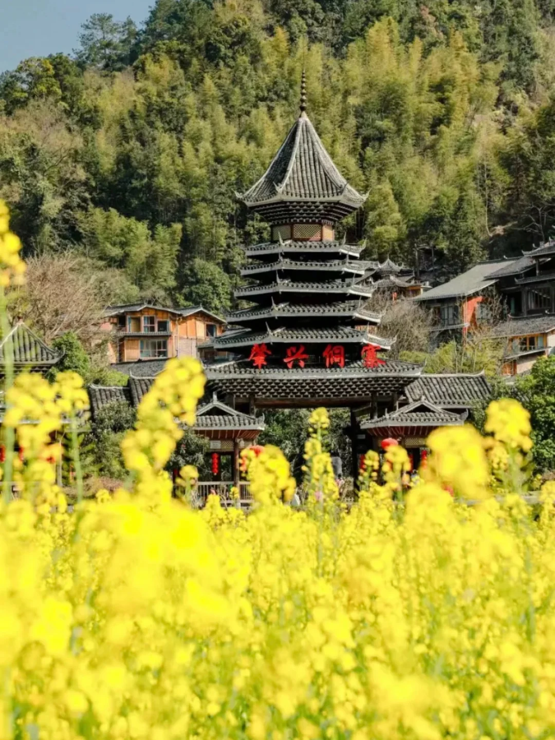 3-4月肇兴侗寨现状❗❗还没去的姐妹看过来