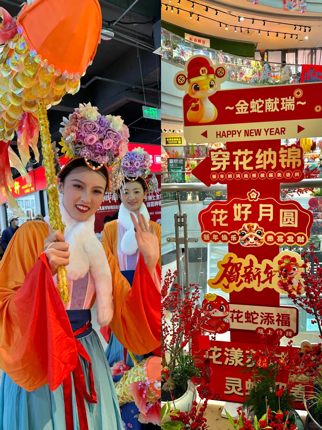 苏州！我人麻了😭