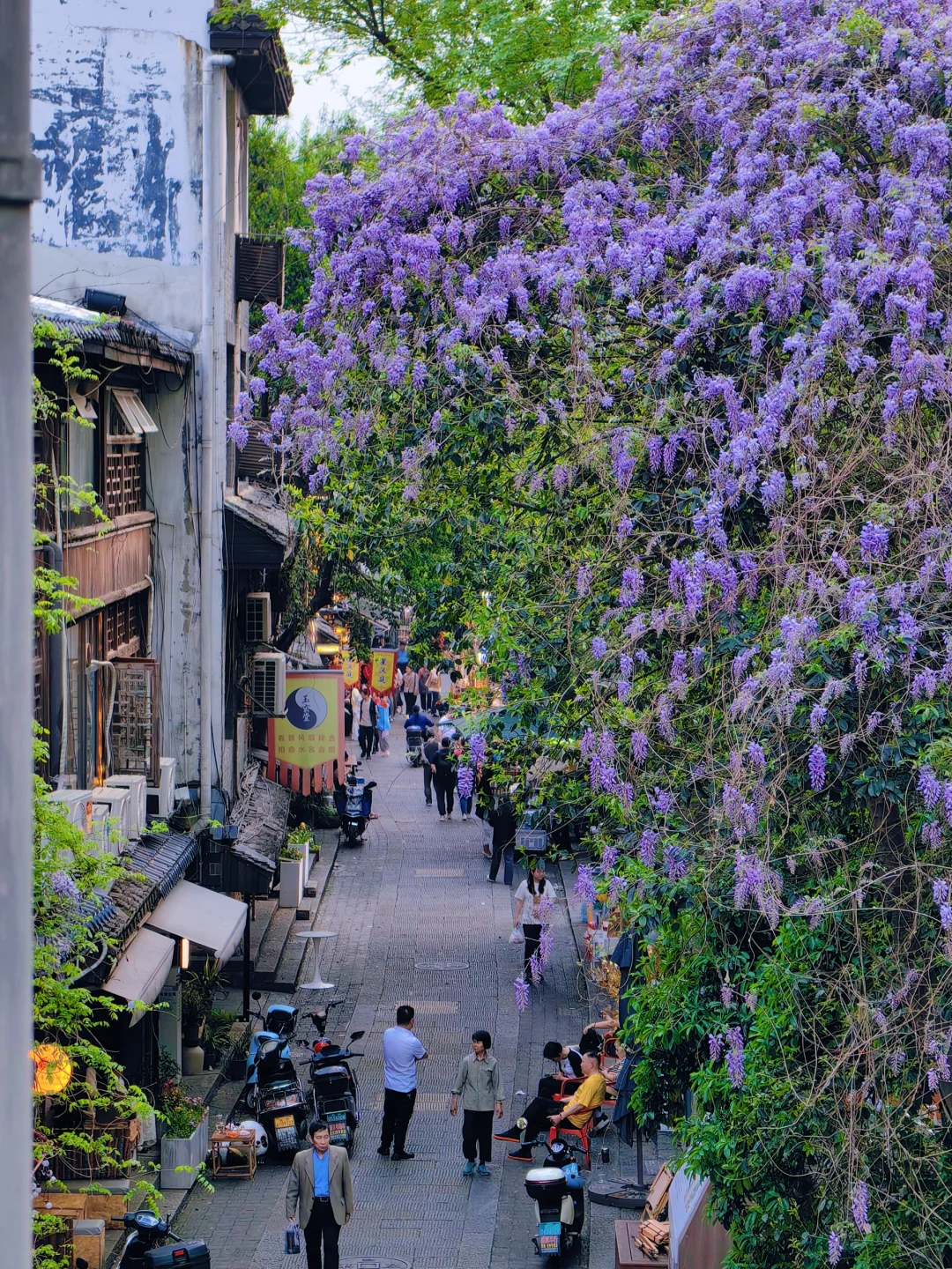 长沙十日晴！接下来是万万次的春和景明～