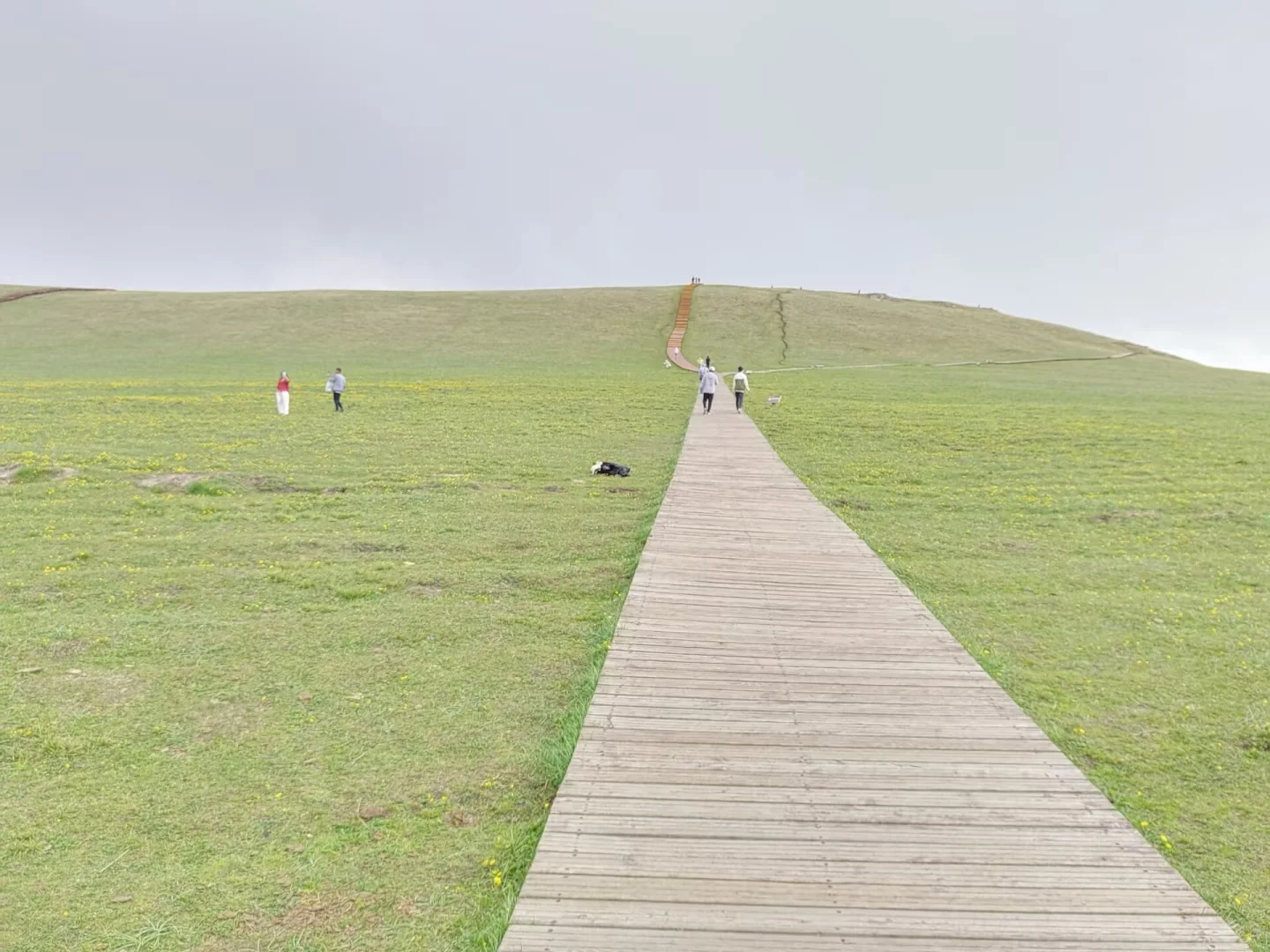 新疆喀拉峻景区游玩线路攻略