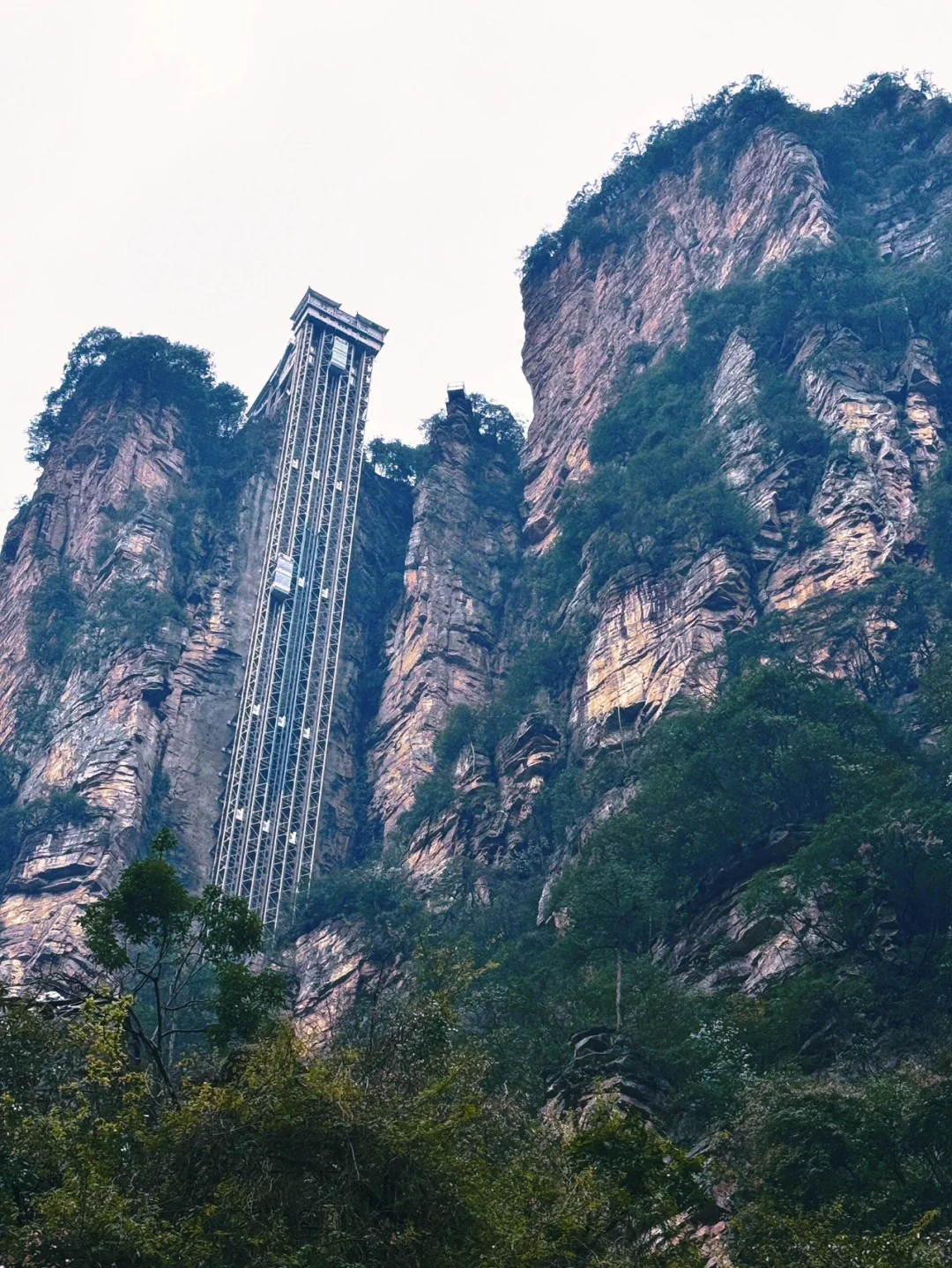 被张家界美到失语！此生必去的人间仙境