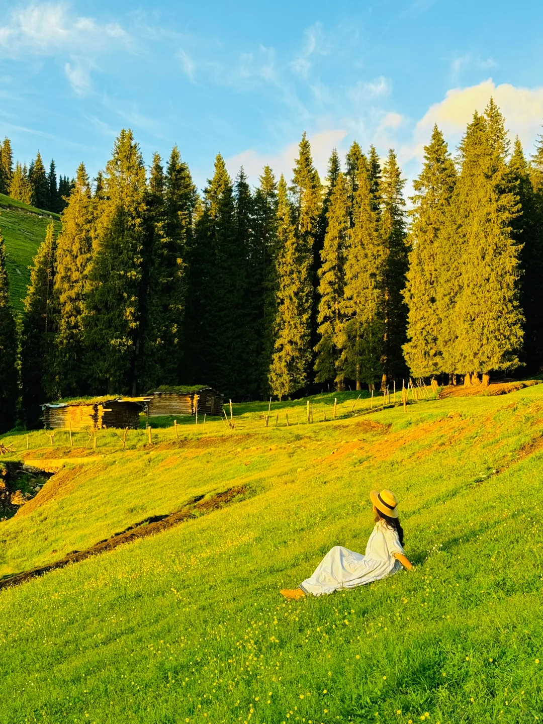 答应我‼️这辈子一定不要放弃去新疆🐮🐑……