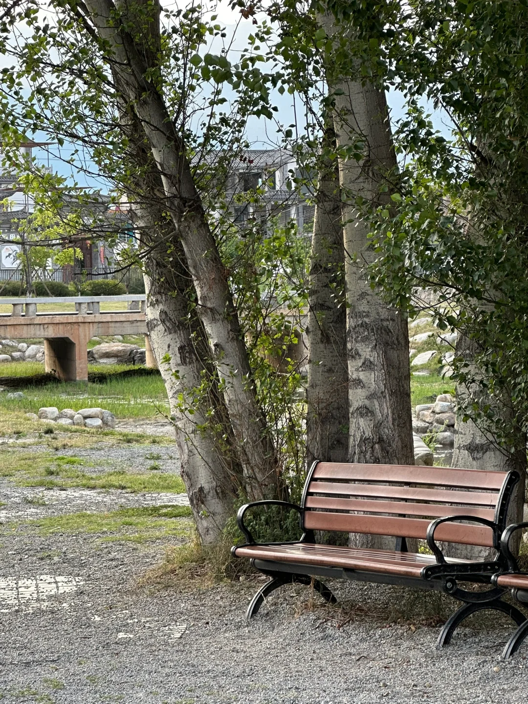 去了五次大理｜不打卡推荐的目的地