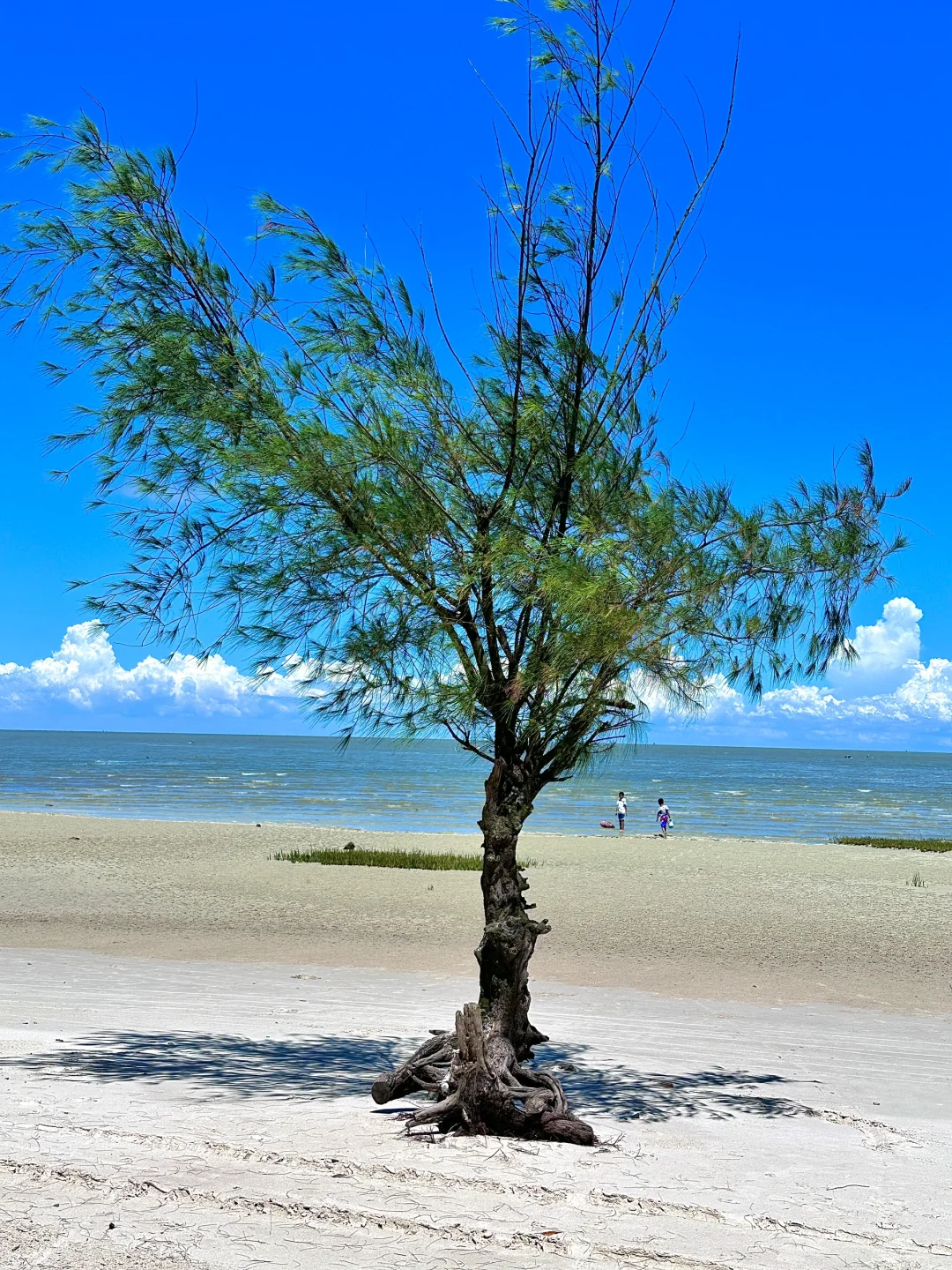 震惊😱这么全的北海景点大合集（live版）