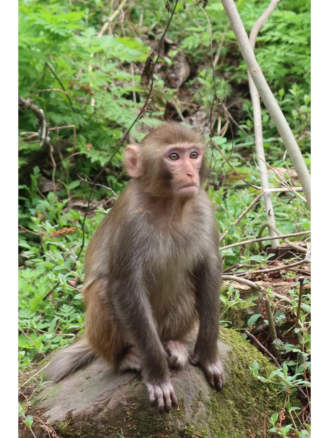 被张家界美到失语！此生必去的人间仙境