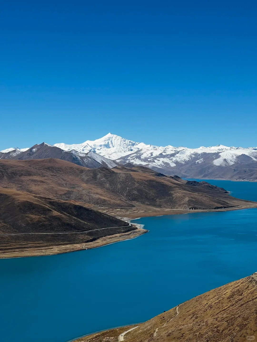 ‼️缺氧但不缺信仰的西藏之旅‼️
