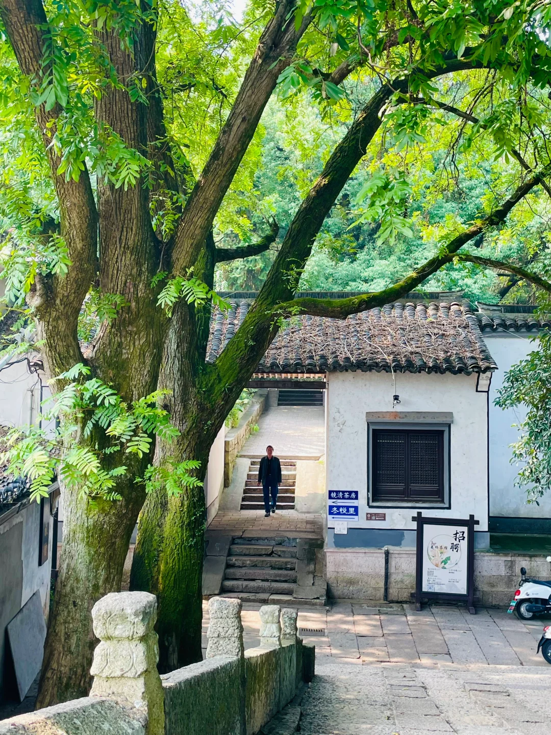 迄今为止，我最喜欢的旅游城市出现了···